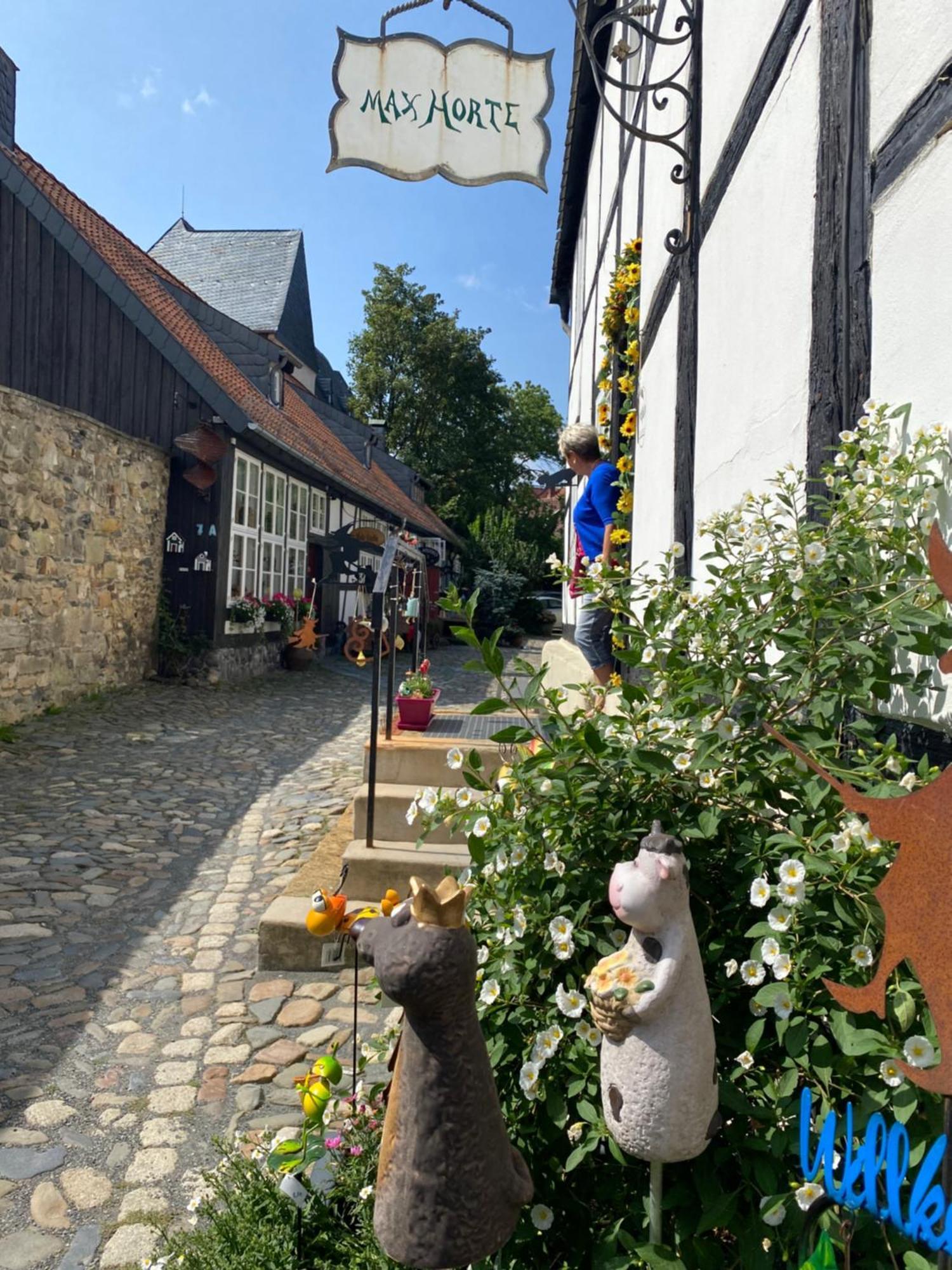 Fewo Georgenberg Goslar Exteriör bild