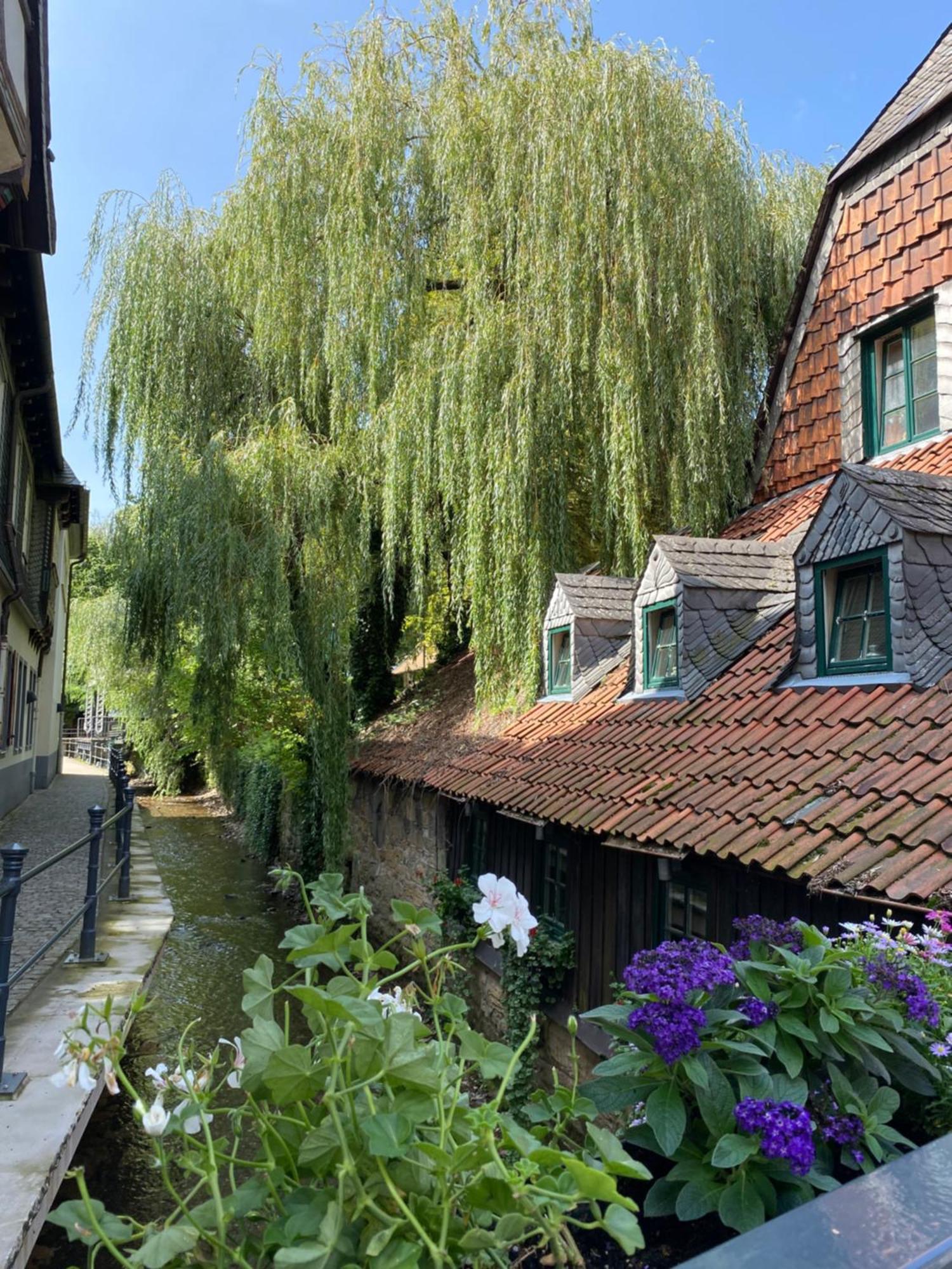 Fewo Georgenberg Goslar Exteriör bild
