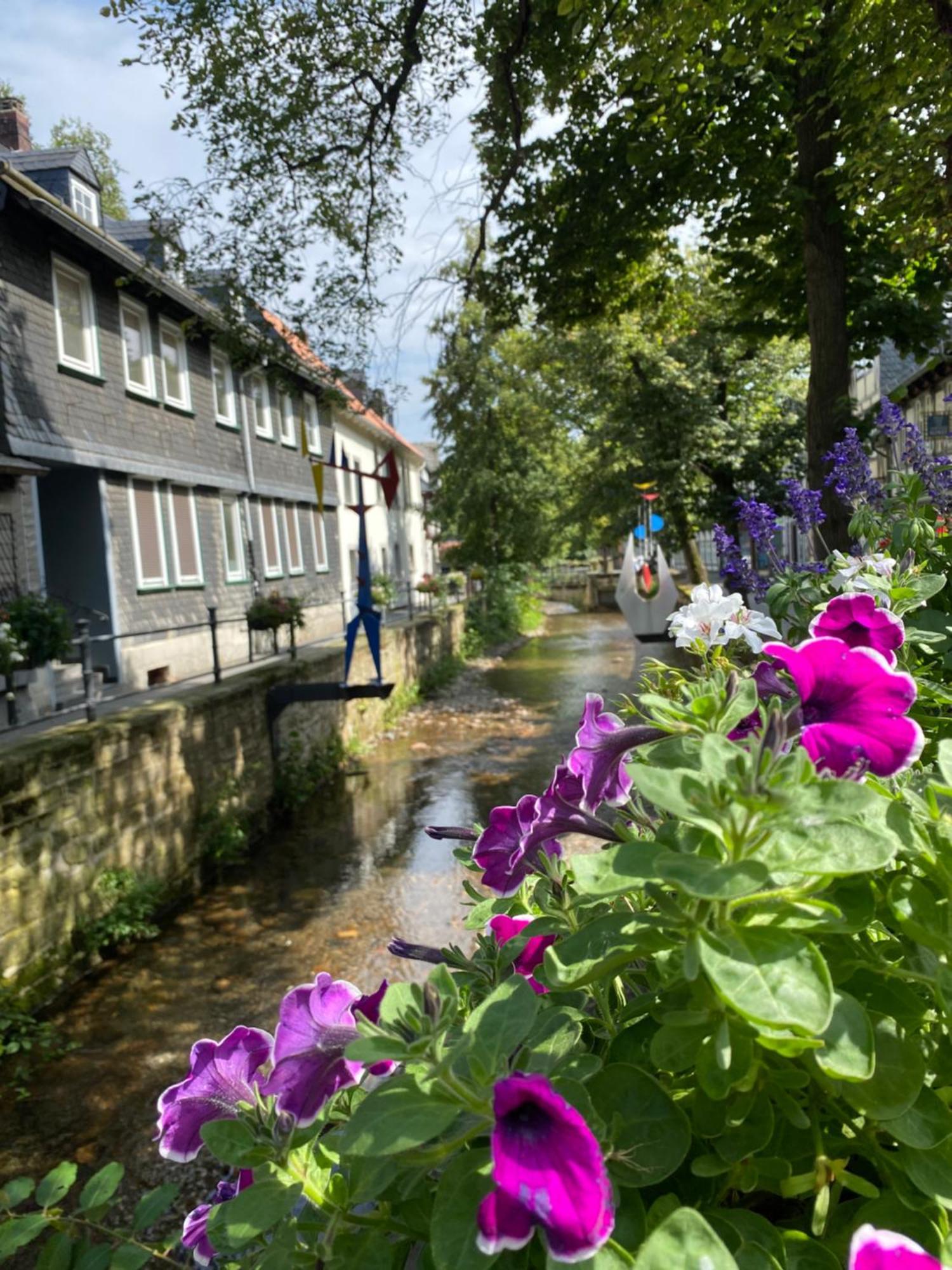 Fewo Georgenberg Goslar Exteriör bild