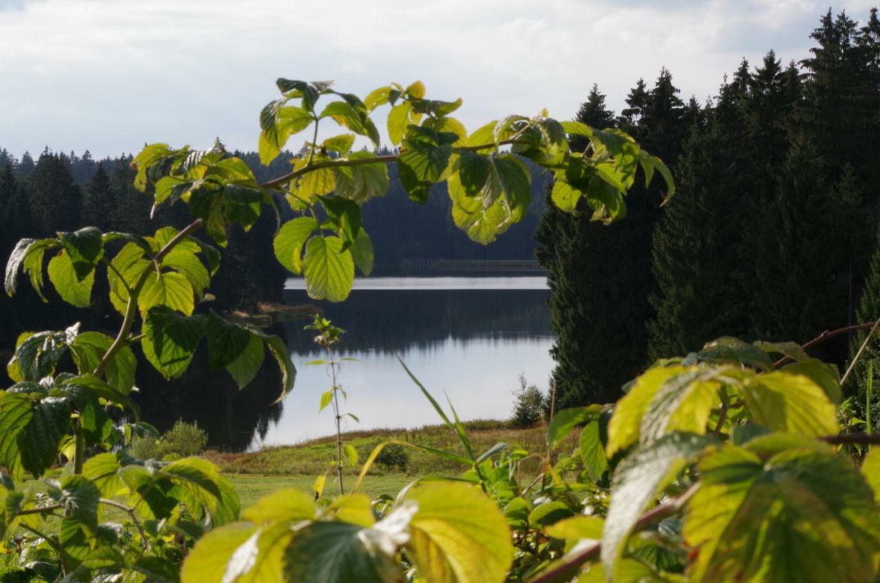 Fewo Georgenberg Goslar Exteriör bild